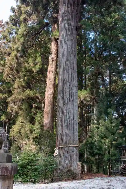 熱日高彦神社(宮城県)