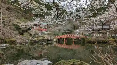 醍醐寺(京都府)