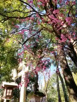 布多天神社(東京都)