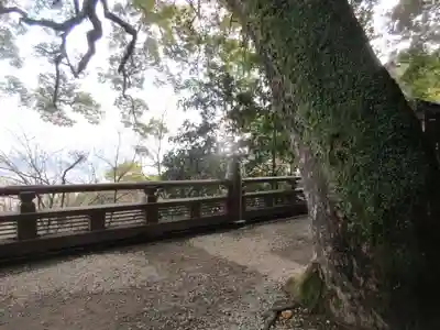 金刀比羅宮(香川県)