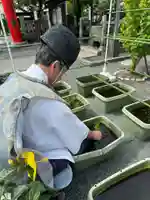 亀戸浅間神社(東京都)