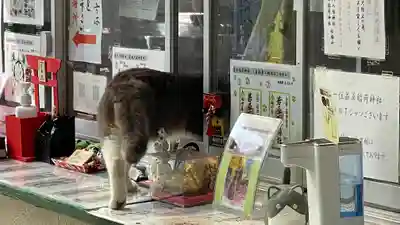 正一位 若草稲荷神社の動物