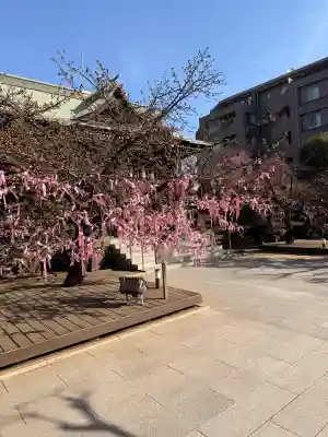桜神宮の{uncategorized: "未分類", other: "その他", undefined: "問題あり", building: "その他建物", grave: "お墓", sacred_gate: "鳥居", guardian: "狛犬", statue: "像", buddha: "仏像", history: "歴史", nature: "自然", garden: "庭園", animal: "動物", pagoda: "塔", temizu: "手水舎", mountain_gate: "山門・神門", sanctuary: "本殿・本堂", subordinate: "末社・摂社", art: "芸術", scenery: "景色", jizo: "地蔵", ema: "絵馬", goshuin: "御朱印", omikuji: "おみくじ", items: "授与品その他", amulet: "お守り", goshuincho: "御朱印帳", eats: "食事", festival: "お祭り", votive_dance: "神楽", shichigosan: "七五三参", wedding: "結婚式", experience: "体験その他", initially: "初詣", around: "周辺", anti_infection: "感染症対策"}