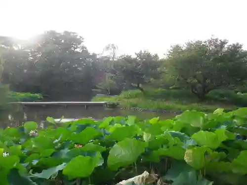 鶴岡八幡宮の庭園