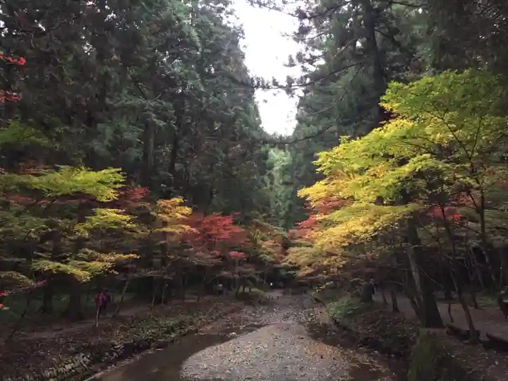 小國神社の周辺