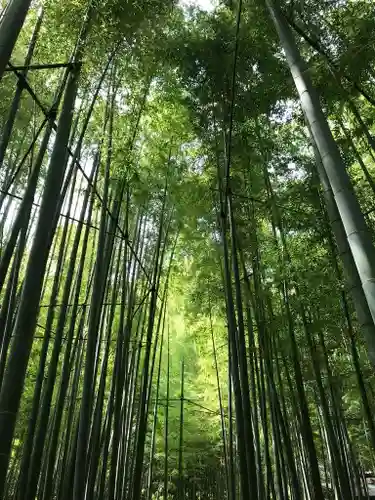 報国寺(神奈川県)