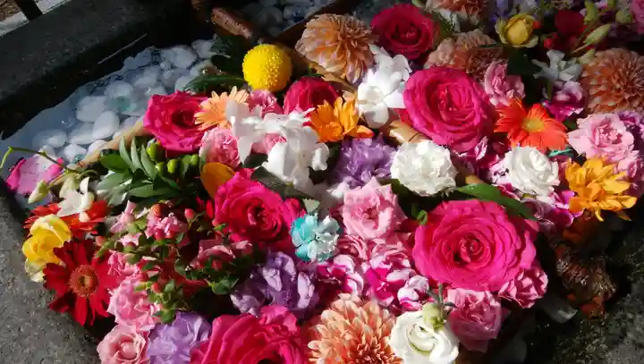豊平神社の手水舎