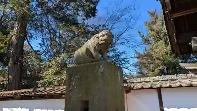 歓喜院本坊の狛犬