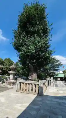 石清尾八幡宮(香川県)