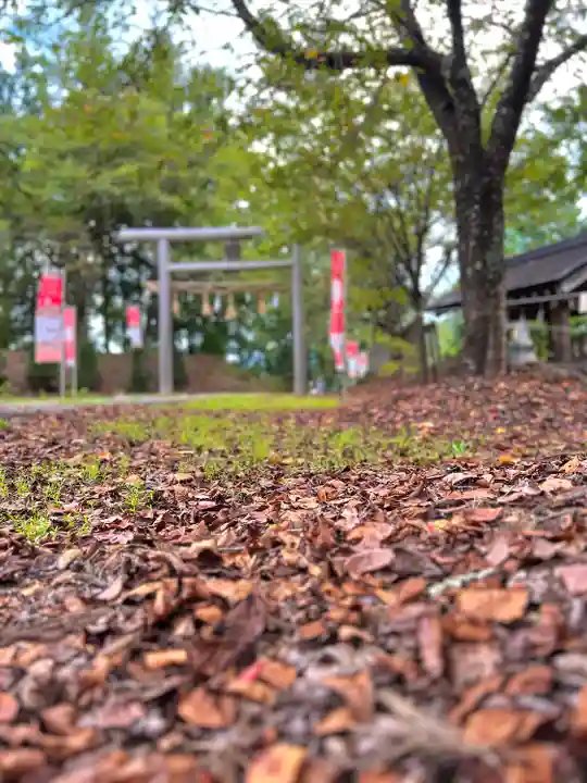 仁科神社(長野県)