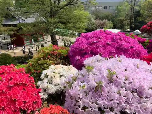 根津神社の庭園