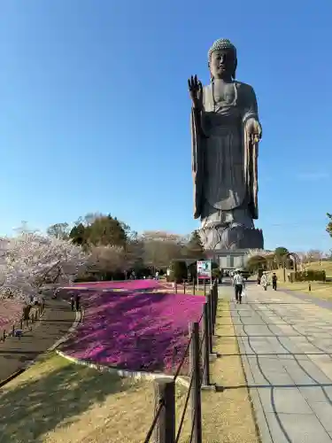 東本願寺本廟 牛久浄苑（牛久大仏）(茨城県)