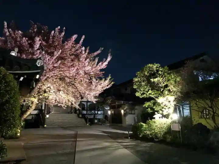 感通寺のその他建物