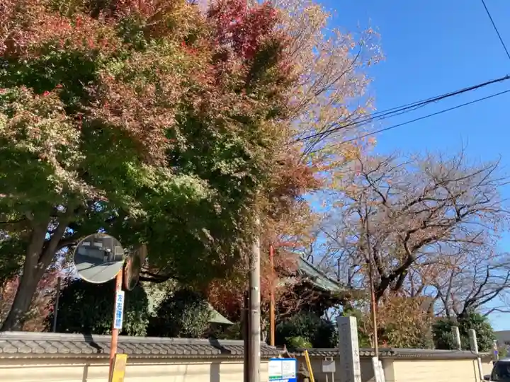 大円寺のその他建物