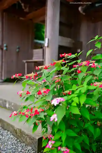 佛日庵(神奈川県)