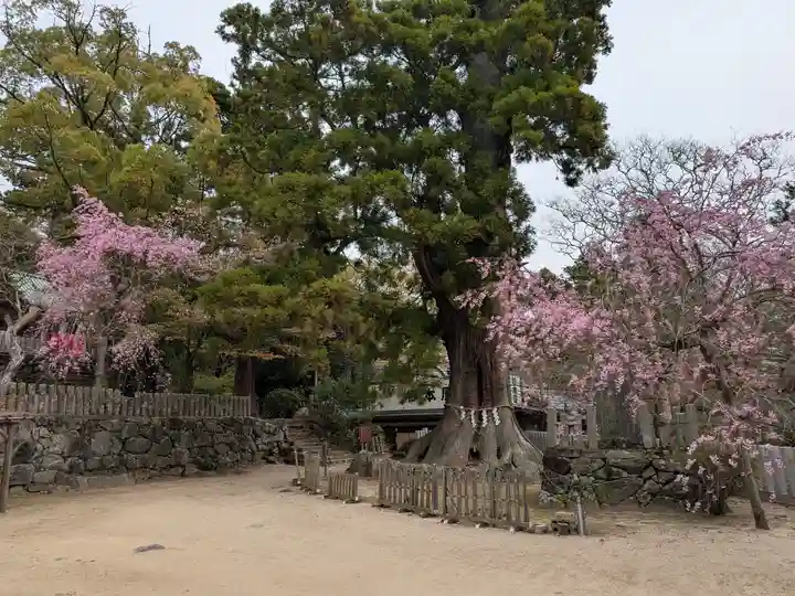 筑波山神社(茨城県)