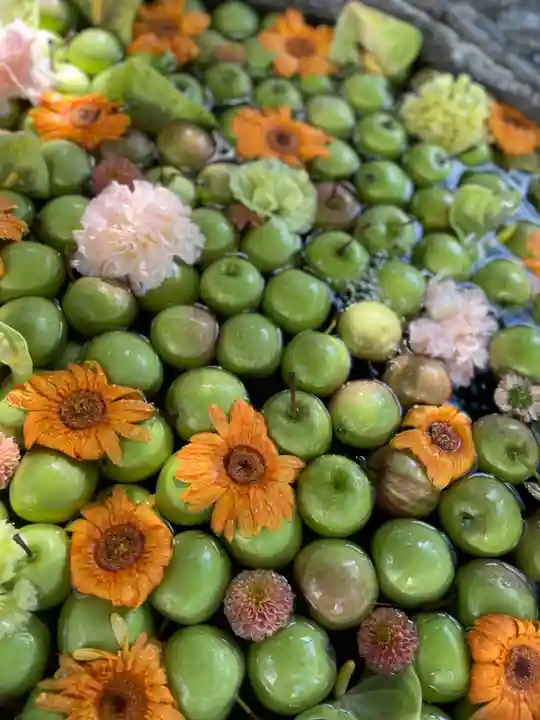 廣田神社~病厄除守護神~(青森県)