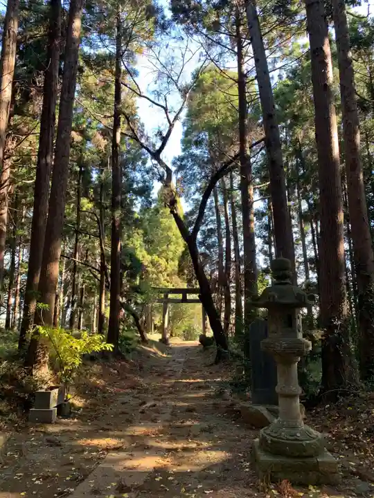 阿毘靈神社(千葉県)