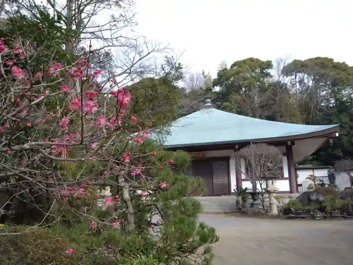 妙泉寺(静岡県)