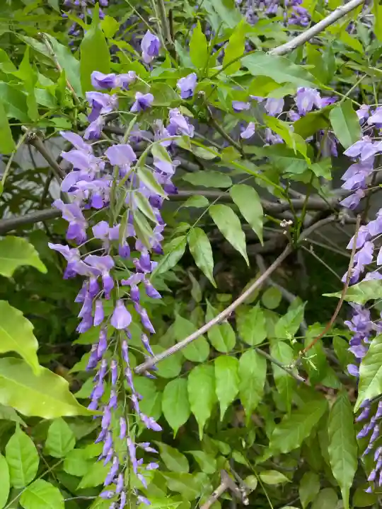 蓮長寺(東京都)