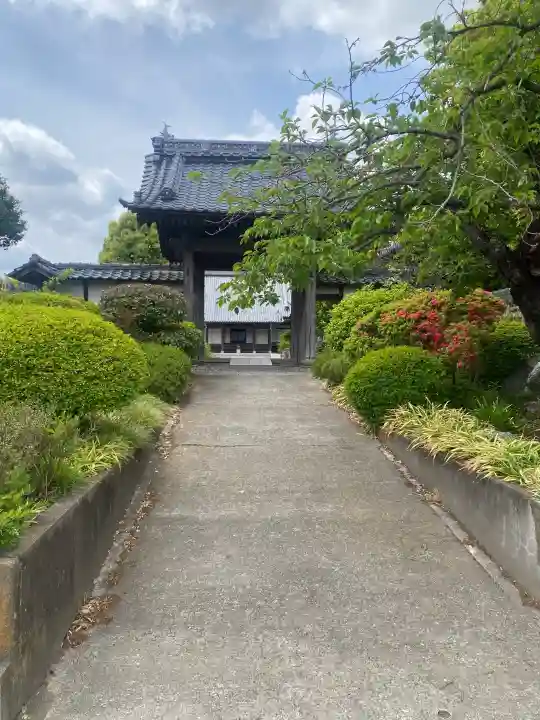 観音寺の{uncategorized: "未分類", other: "その他", undefined: "問題あり", building: "その他建物", grave: "お墓", sacred_gate: "鳥居", guardian: "狛犬", statue: "像", buddha: "仏像", history: "歴史", nature: "自然", garden: "庭園", animal: "動物", pagoda: "塔", temizu: "手水舎", mountain_gate: "山門・神門", sanctuary: "本殿・本堂", subordinate: "末社・摂社", art: "芸術", scenery: "景色", jizo: "地蔵", ema: "絵馬", goshuin: "御朱印", omikuji: "おみくじ", items: "授与品その他", amulet: "お守り", goshuincho: "御朱印帳", eats: "食事", festival: "お祭り", votive_dance: "神楽", shichigosan: "七五三参", wedding: "結婚式", experience: "体験その他", initially: "初詣", around: "周辺", anti_infection: "感染症対策"}