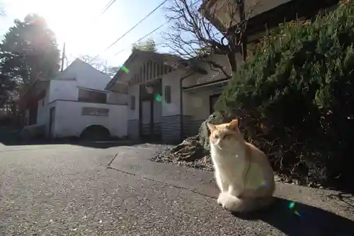 唐澤山神社(栃木県)