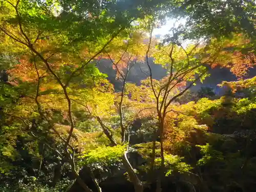 妙本寺の景色