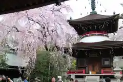 東南院の塔