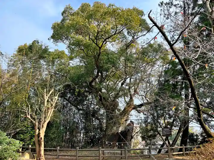 舞鶴神社の自然