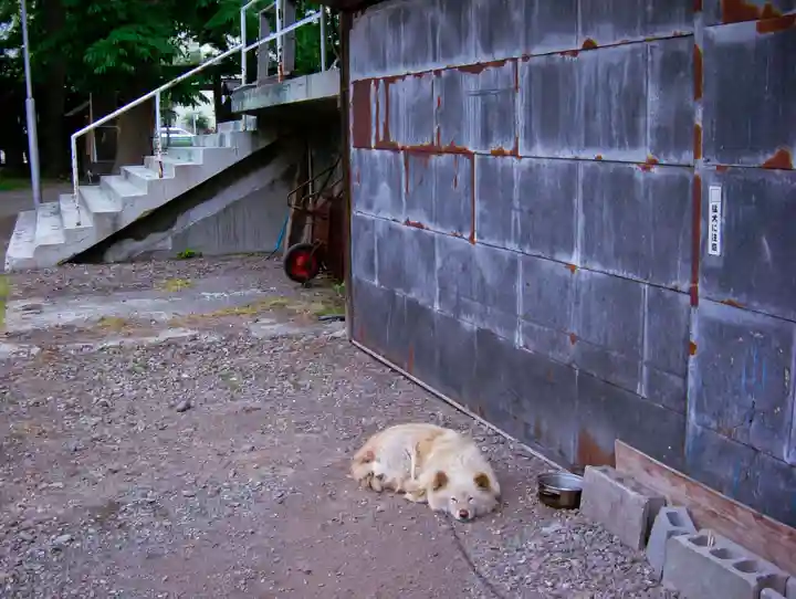札幌諏訪神社の動物