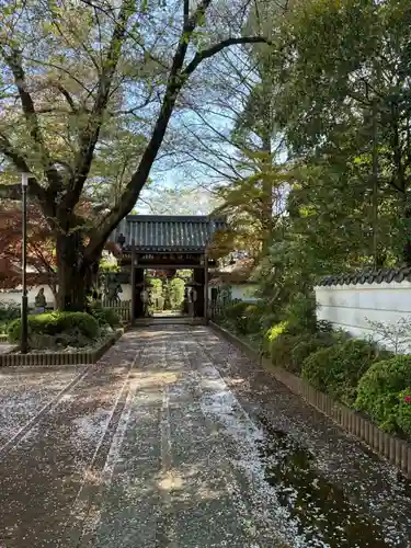 井口院(東京都)