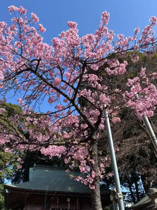 六所神社(埼玉県)