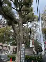 若一神社(京都府)