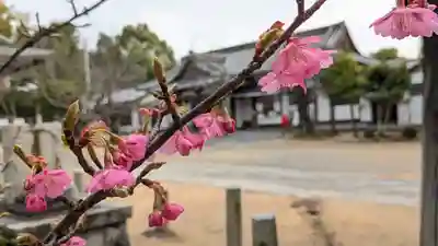 新日吉神宮(京都府)
