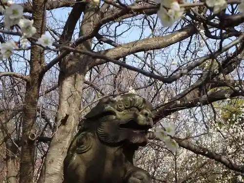 天満宮の狛犬