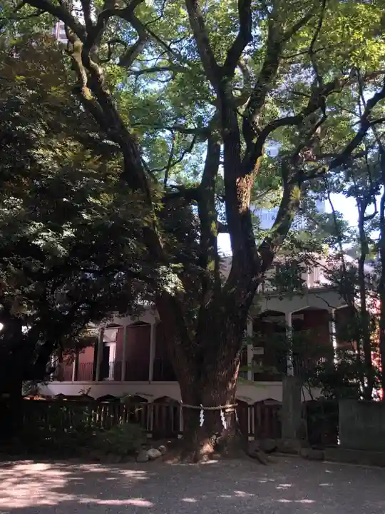 乃木神社(東京都)