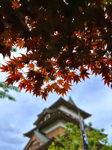 諏訪護国神社(長野県)