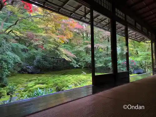 光明寺瑠璃光院の庭園