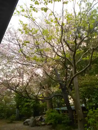 極楽寺（霊鷲山感應院極楽律寺）の自然