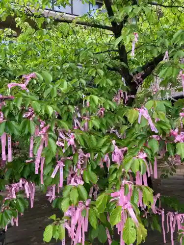 桜神宮の{uncategorized: "未分類", other: "その他", undefined: "問題あり", building: "その他建物", grave: "お墓", sacred_gate: "鳥居", guardian: "狛犬", statue: "像", buddha: "仏像", history: "歴史", nature: "自然", garden: "庭園", animal: "動物", pagoda: "塔", temizu: "手水舎", mountain_gate: "山門・神門", sanctuary: "本殿・本堂", subordinate: "末社・摂社", art: "芸術", scenery: "景色", jizo: "地蔵", ema: "絵馬", goshuin: "御朱印", omikuji: "おみくじ", items: "授与品その他", amulet: "お守り", goshuincho: "御朱印帳", eats: "食事", festival: "お祭り", votive_dance: "神楽", shichigosan: "七五三参", wedding: "結婚式", experience: "体験その他", initially: "初詣", around: "周辺", anti_infection: "感染症対策"}
