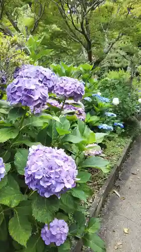 香勝寺の庭園