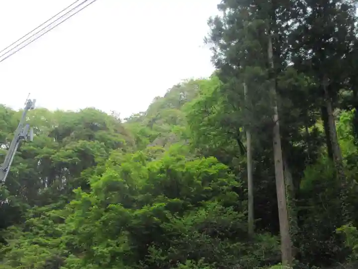 観音院(埼玉県)