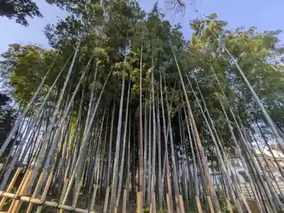 勝光院(東京都)