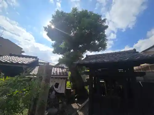 石上神社(京都府)