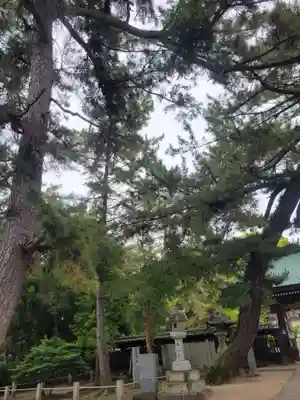 雄郡神社(愛媛県)