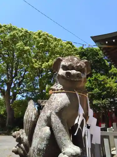 妙見神社の狛犬