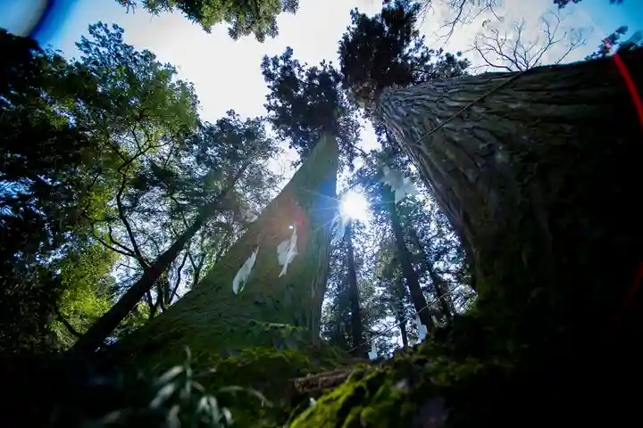 大神神社(栃木県)
