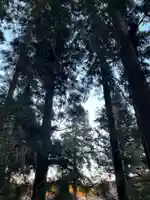 大宮温泉神社(栃木県)