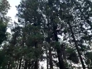 大宮温泉神社(栃木県)(2023年12月09日(土) 08時10分43秒投稿)