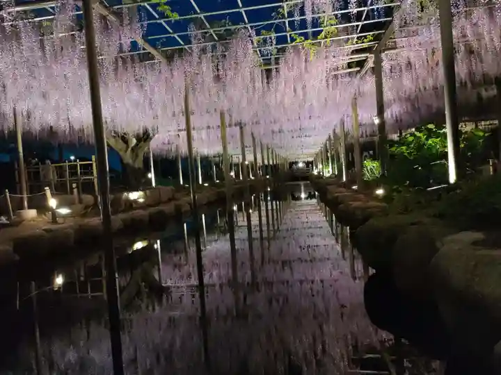 津島神社の周辺